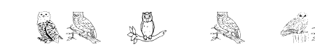 AEZ Owls for Traci - 50 Kb - by Adult Ramblings