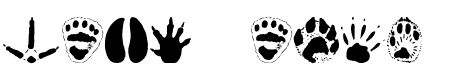 Animal Tracks - 65 Kb - by Andrew D. Taylor