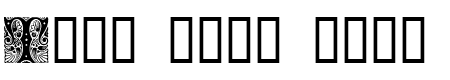 Cheshire Initials - 84 Kb - by House of Lime