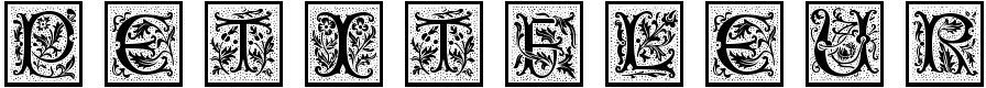 PetitFleur - 508 Kb - by Manfred Klein